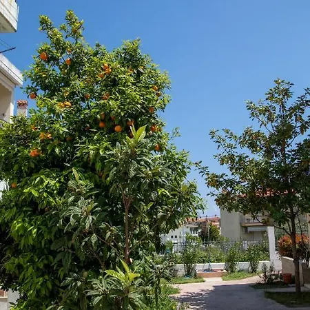 The Fern Holiday * Kallithea (Chalkidiki)